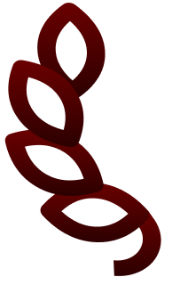 decor1